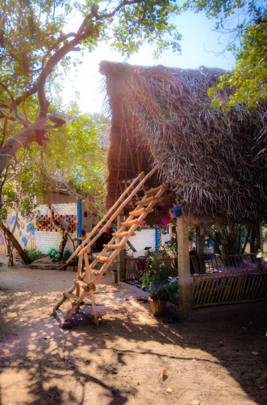 Peace Garden Inn أورفيلا المظهر الخارجي الصورة